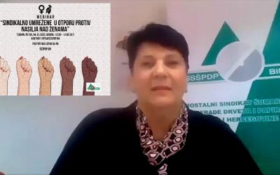 NA WEBINARU SSŠPDP-A BIH PO PRVI PUT SARAĐIVALE AKADEMSKA ZAJEDNICA, CIVILNE ORGANIZACIJE I SINDIKAT