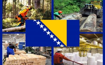 SSŠPDP BiH UPUTIO ČESTITKU ZA DAN NEZAVISNOSTI BiH