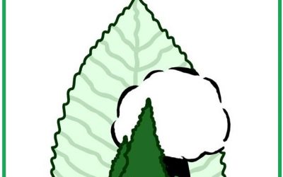 HITAN DOPIS SP “SARAJEVO ŠUME” KANTONALNIM VLASTIMA: GOSPODO, DA LI RADNICI ZASLUŽUJU DA OSTANU BEZ PLAĆE?