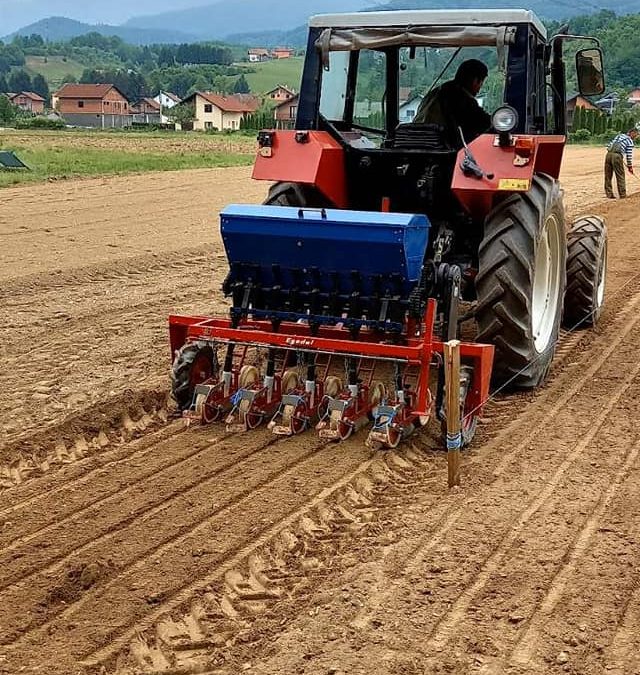 RASADNIK BUSOVAČA: U TOKU SJETVA SMRČE I BOROVA