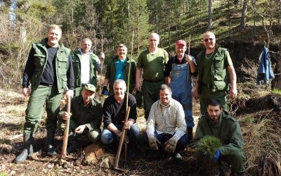 U TOKU POŠUMLJAVANJE U ŠUMSKO-PRIVREDNIM GAZDINSTVIMA