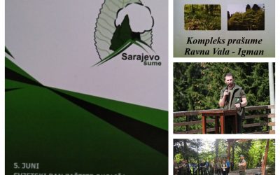 EDUKATIVNA MANIFESTACIJA ZA RADNIKE “SARAJEVO ŠUMA”: RAVNA VALA JE JEDINA PRAŠUMA U KANTONU SARAJEVO I MORAMO JE SAČUVATI