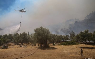POŽARI U TURSKOJ: SSŠPDP BIH UPUTIO PISMO PODRŠKE TURSKIM SINDIKATIMA I ORGANIZACIJAMA