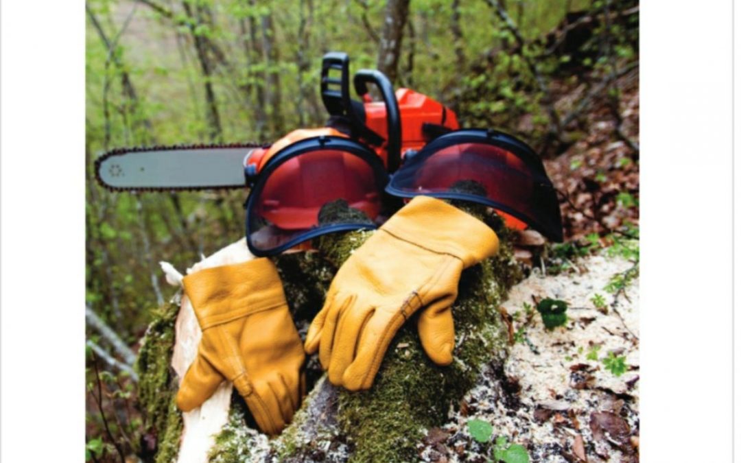 ODRŽANA PROMOCIJA PRIRUČNIKA “ZAŠTITA NA RADU U ŠUMARSTVU”