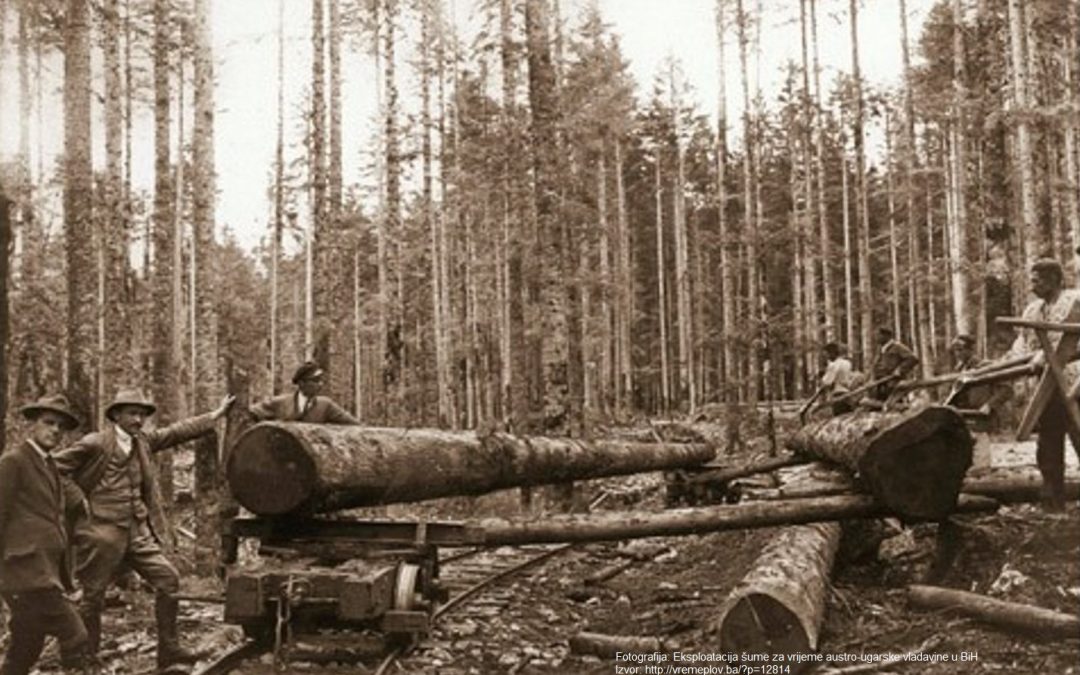 NAJAVA DOGAĐAJA: IZLOŽBA FOTOGRAFIJA: “RAD RADNIKA U SEKTORIMA ŠUMARSTVA, DRVNE INDUSTRIJE I PAPIRA KROZ VRIJEME“