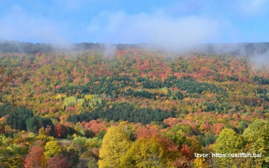 POVUČEN PRIJEDLOG ZAKONA O ŠUMAMA FBIH