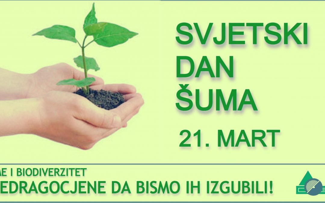 DANAS SE OBILJEŽAVA SVJETSKI DAN ŠUMA