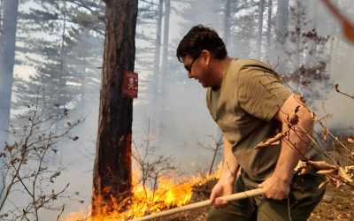 RADNICI ŠUMSKO-PRIVREDNIH DRUŠTAVA PRVI U GAŠENJU POŽARA