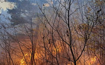 RADNICI “SREDNJOBOSANSKIH ŠUMA” SE BORE S POŽAROM KOJI BJESNI NA PODRUČJU GORNJEG VAKUFA/USKOPLJA